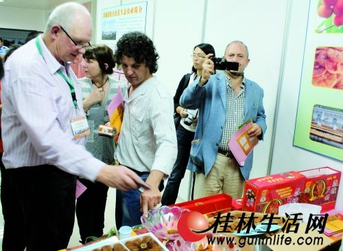 恭城县举办第九届月柿节 中外游客齐汇聚(图)235 / 作者:茶城路人 / 帖子ID:57362