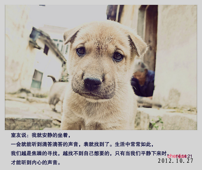 静静的102 / 作者:講不醜 / 帖子ID:57366