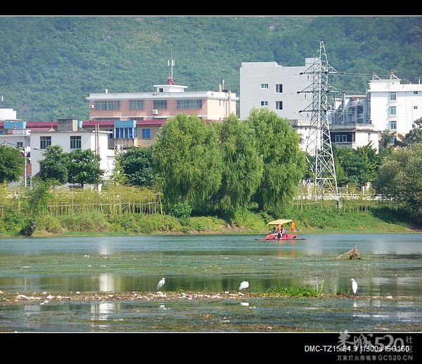 恭城滨江宛沿河可建一些“观鹭亭”58 / 作者:平安大叔 / 帖子ID:57592