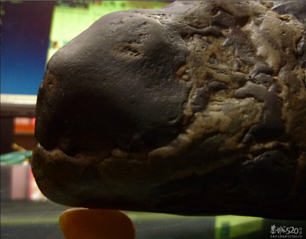 花卵石38 / 作者:大鸟 / 帖子ID:58240