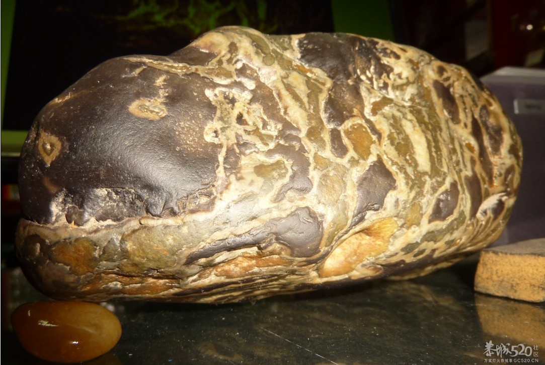 花卵石121 / 作者:大鸟 / 帖子ID:58240