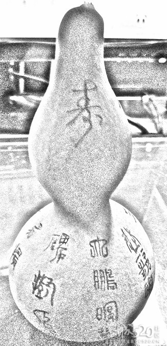 花卵石838 / 作者:大鸟 / 帖子ID:58240