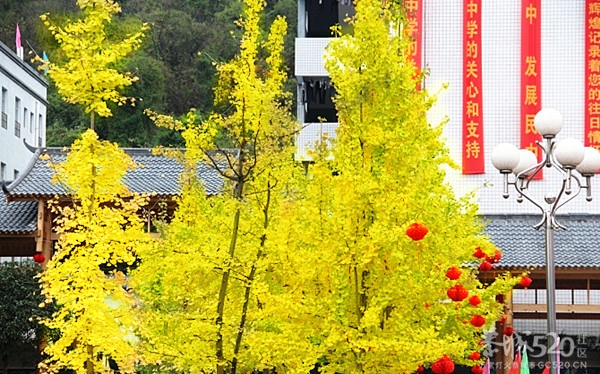 恭城民族中学十周年校庆花絮【高清组图】150 / 作者:社区小编 / 帖子ID:58317