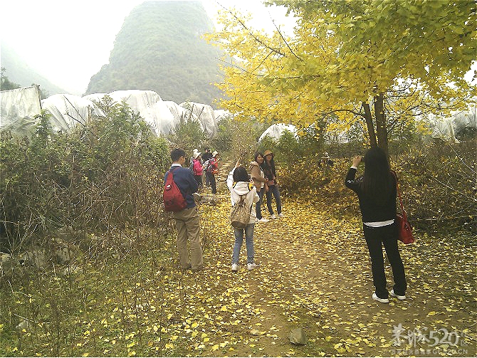 2012.11.24穿越葡萄到兴坪徒步活动131 / 作者:★黯里著谜★ / 帖子ID:58441