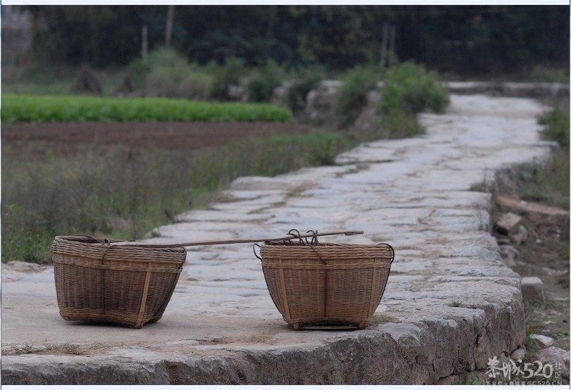 一担姜引发的感叹！203 / 作者:大鸟 / 帖子ID:58559