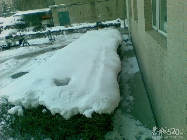 放雪~~各种古里八怪156 / 作者:马路桥~八区 / 帖子ID:58703