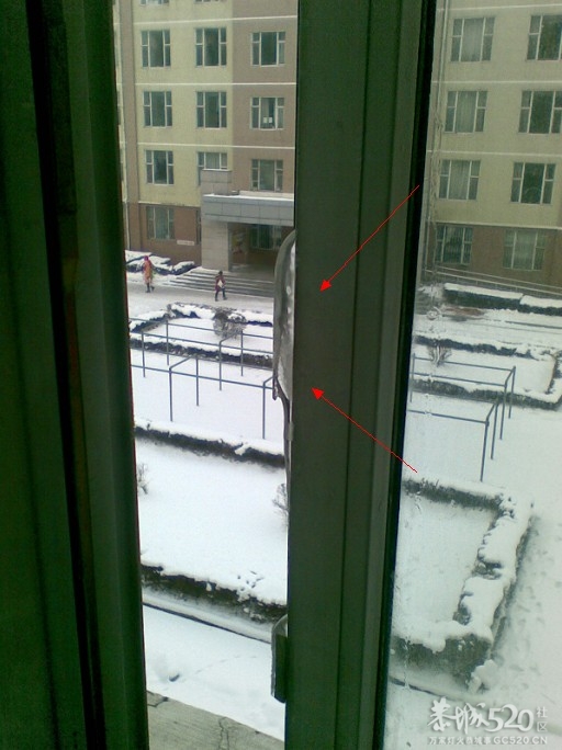 放雪~~各种古里八怪963 / 作者:马路桥~八区 / 帖子ID:58703