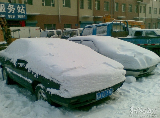 放雪~~各种古里八怪471 / 作者:马路桥~八区 / 帖子ID:58703