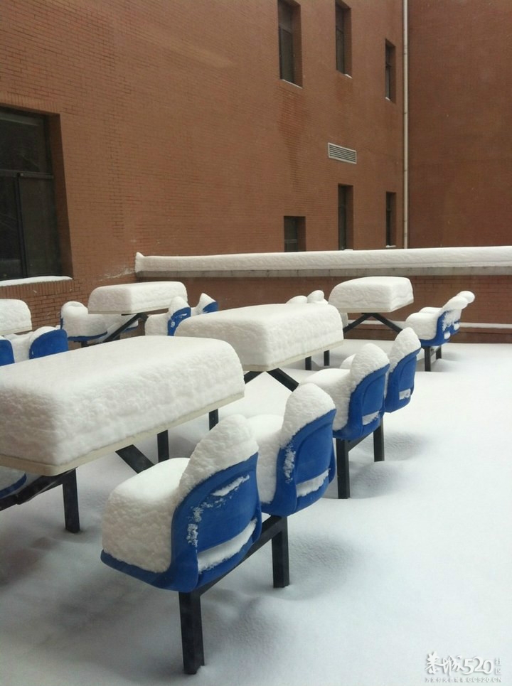 放雪~~各种古里八怪127 / 作者:马路桥~八区 / 帖子ID:58703