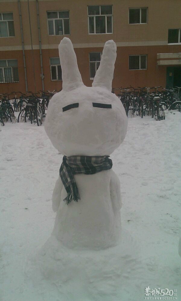 放雪~~各种古里八怪423 / 作者:马路桥~八区 / 帖子ID:58703