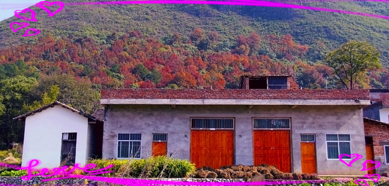 上楼红叶839 / 作者:瑶乡看兰 / 帖子ID:58779