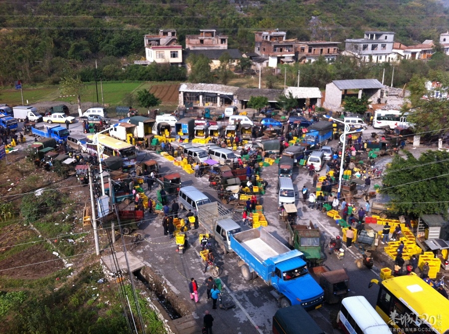 12.5--加会柿饼闹子大堵车608 / 作者:白千鸟 / 帖子ID:58818