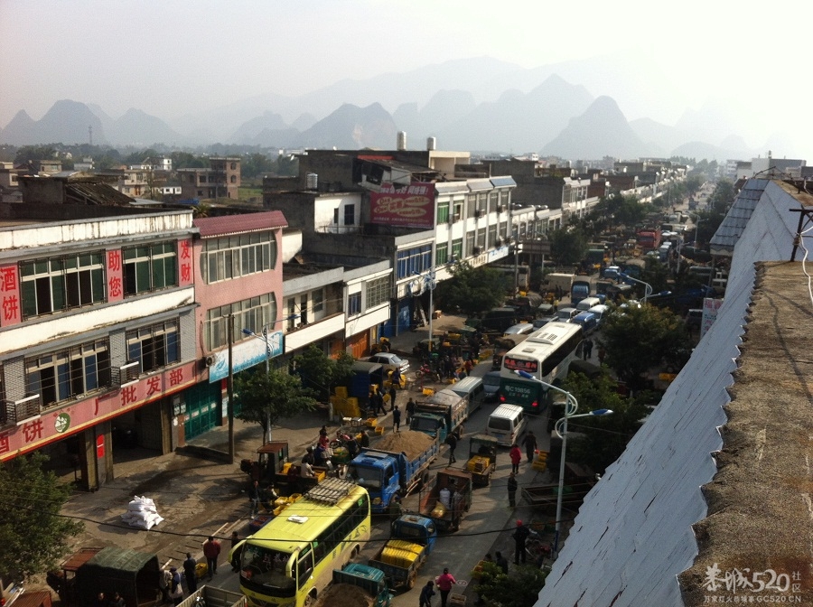 12.5--加会柿饼闹子大堵车383 / 作者:白千鸟 / 帖子ID:58818