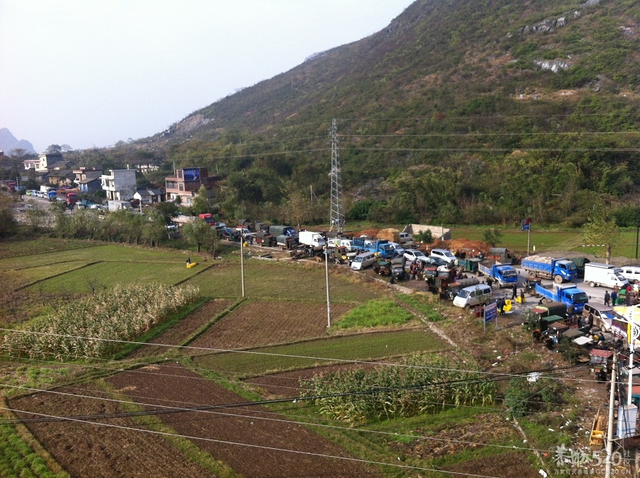 12.5--加会柿饼闹子大堵车592 / 作者:白千鸟 / 帖子ID:58818