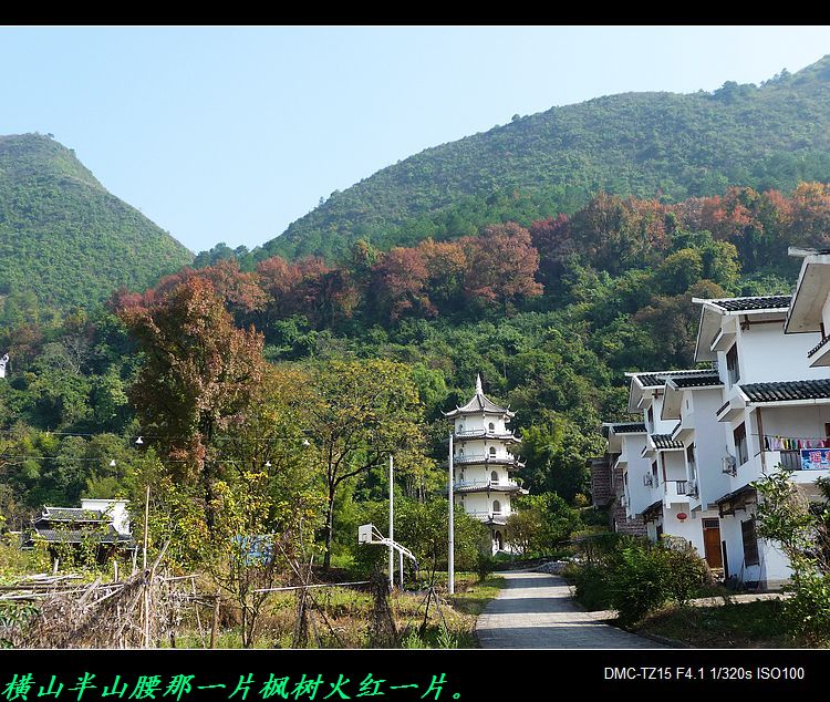观赏红叶、黄叶并不远但要抓紧时间哟！486 / 作者:平安大叔 / 帖子ID:58874