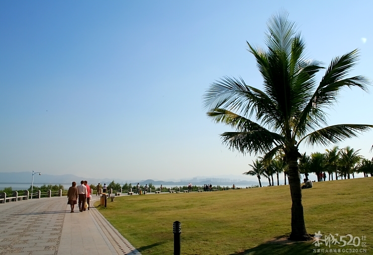 恭城人在深圳聚会咯！如果22号太阳照样升起 23号恭城人相约红树林[深圳]692 / 作者:阳光婚庆 / 帖子ID:58886
