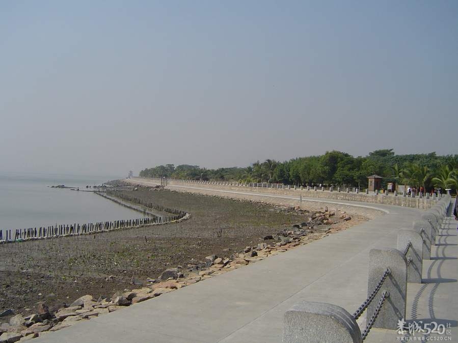 恭城人在深圳聚会咯！如果22号太阳照样升起 23号恭城人相约红树林[深圳]348 / 作者:阳光婚庆 / 帖子ID:58886