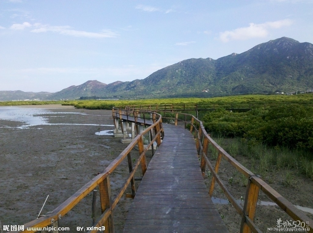 恭城人在深圳聚会咯！如果22号太阳照样升起 23号恭城人相约红树林[深圳]581 / 作者:阳光婚庆 / 帖子ID:58886