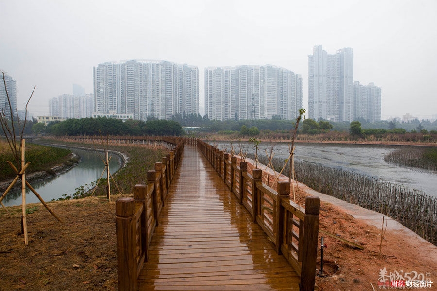 恭城人在深圳聚会咯！如果22号太阳照样升起 23号恭城人相约红树林[深圳]781 / 作者:阳光婚庆 / 帖子ID:58886
