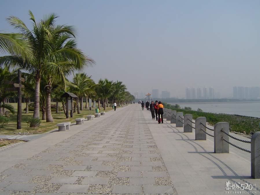 恭城人在深圳聚会咯！如果22号太阳照样升起 23号恭城人相约红树林[深圳]922 / 作者:阳光婚庆 / 帖子ID:58886