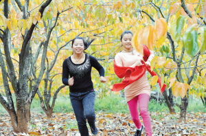 绽放的瑶乡姐妹花622 / 作者:翠峰紫阳 / 帖子ID:59290