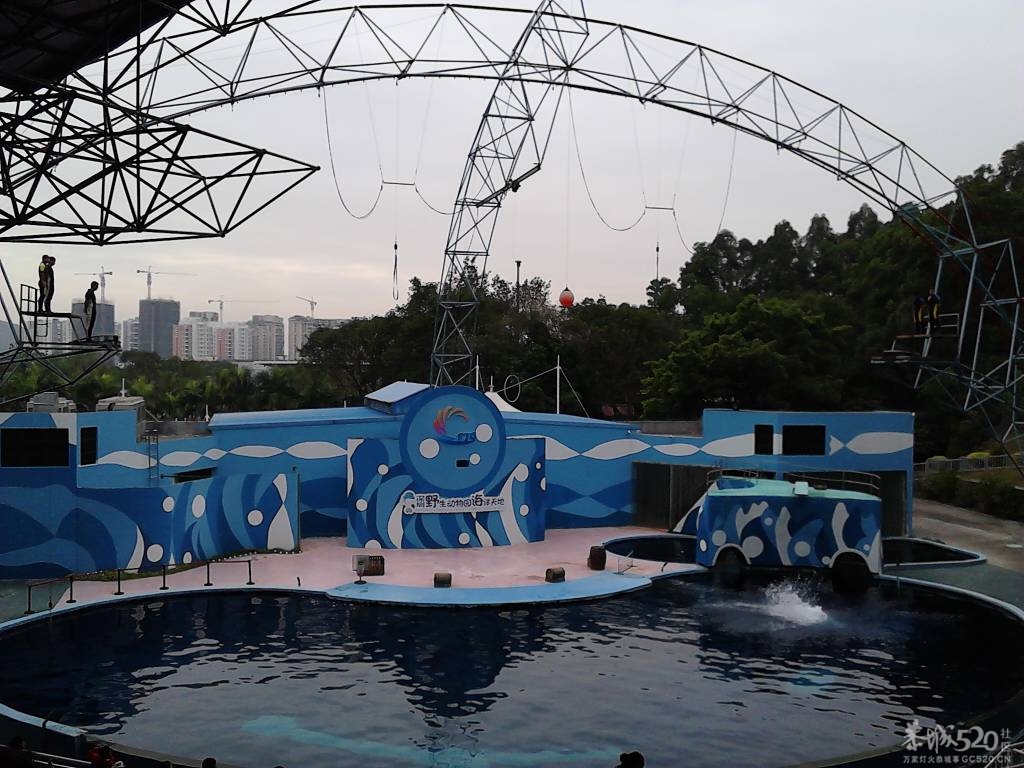 2013年元旦，深圳市野生动物园一日游99 / 作者:758779802 / 帖子ID:59689