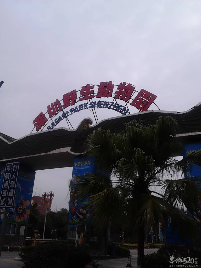 2013年元旦，深圳市野生动物园一日游877 / 作者:758779802 / 帖子ID:59689