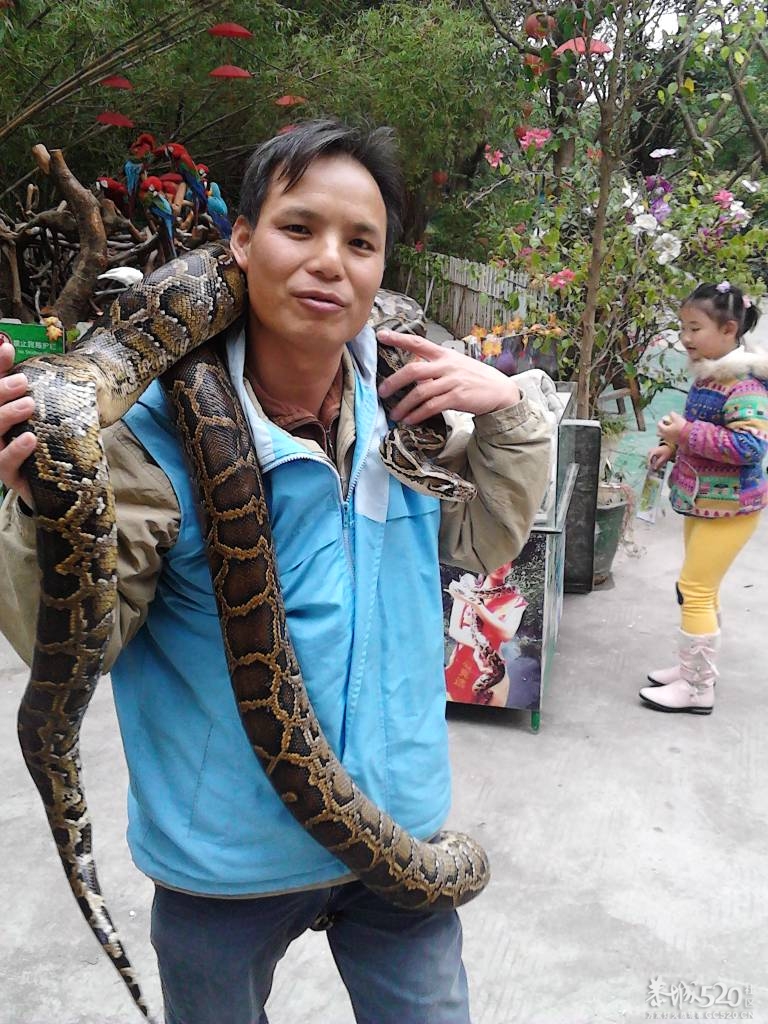 2013年元旦，深圳市野生动物园一日游316 / 作者:758779802 / 帖子ID:59689