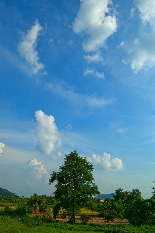 我的2012★风景981 / 作者:私想者 / 帖子ID:59713