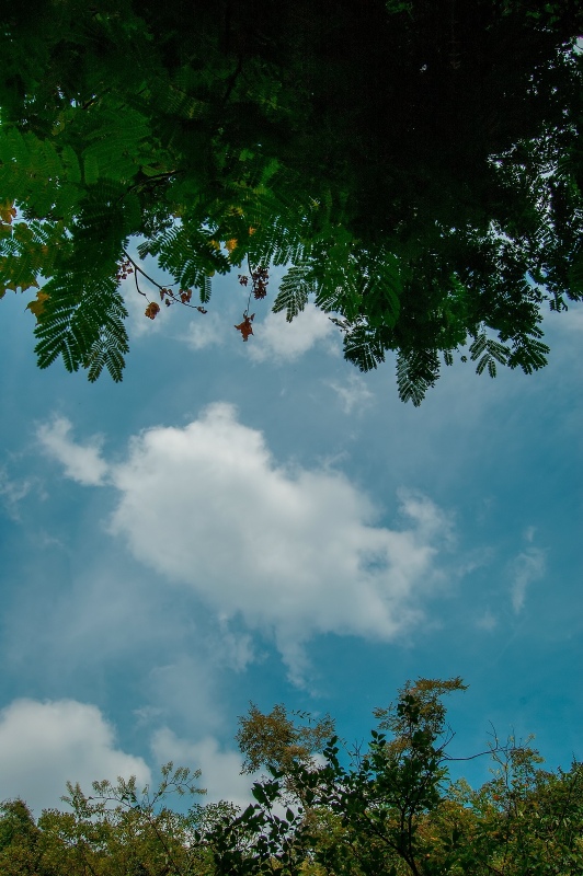 我的2012★风景687 / 作者:私想者 / 帖子ID:59713