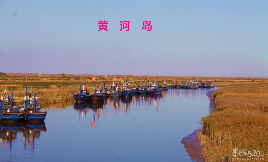 冬韵·黄河岛486 / 作者:唯美幽情 / 帖子ID:59973