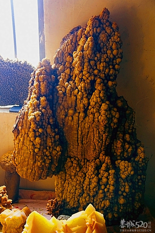 来几个钟乳石 卓子80 / 作者:瑶乡看兰 / 帖子ID:60093