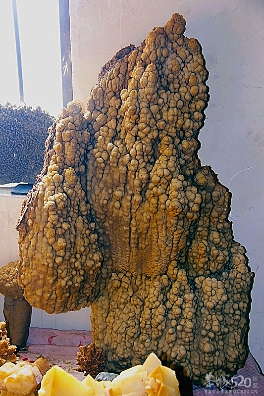 来几个钟乳石 卓子334 / 作者:瑶乡看兰 / 帖子ID:60093