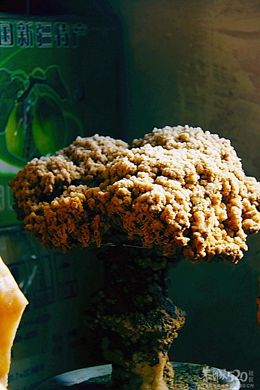 来几个钟乳石 卓子819 / 作者:瑶乡看兰 / 帖子ID:60093