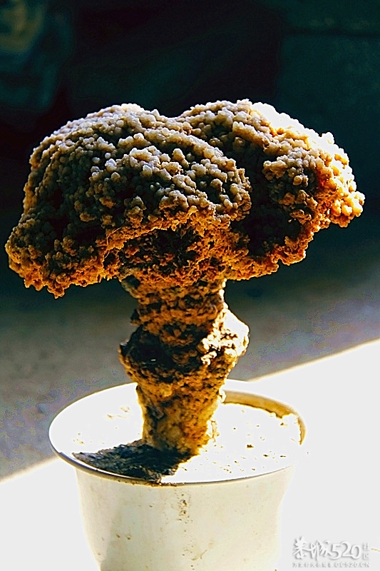 来几个钟乳石 卓子883 / 作者:瑶乡看兰 / 帖子ID:60093