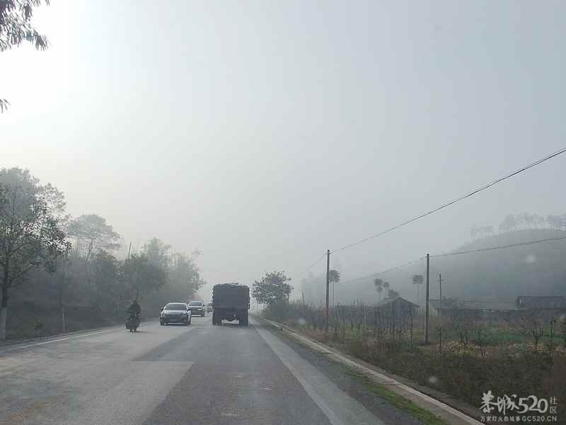 今天上午恭城一遍雾蒙蒙的，能见度大约200米左右。679 / 作者:山野图夫 / 帖子ID:60128