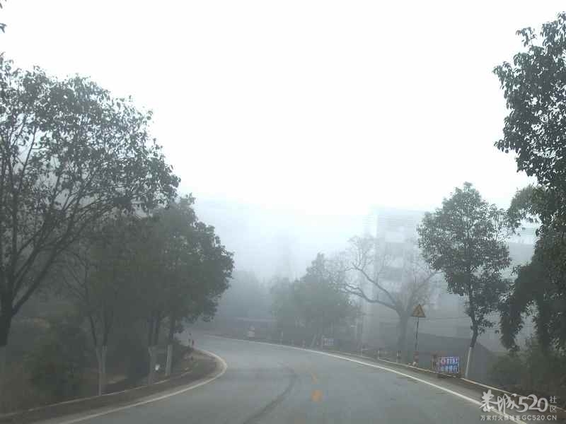 今天上午恭城一遍雾蒙蒙的，能见度大约200米左右。68 / 作者:山野图夫 / 帖子ID:60128