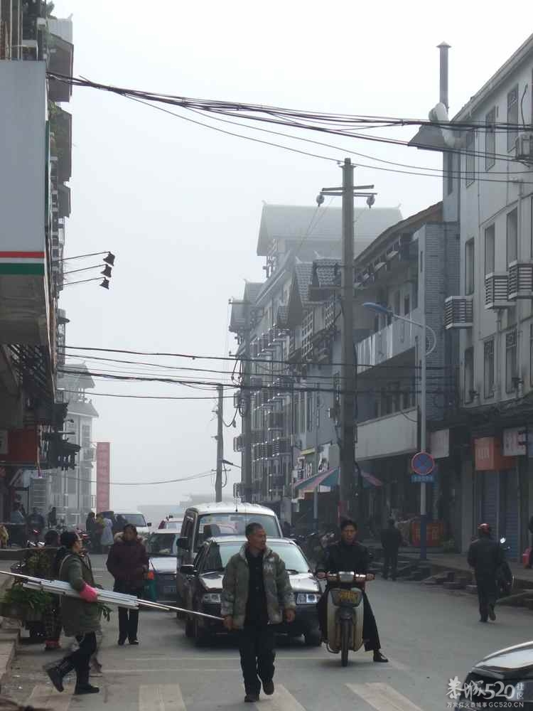 今天上午恭城一遍雾蒙蒙的，能见度大约200米左右。770 / 作者:山野图夫 / 帖子ID:60128