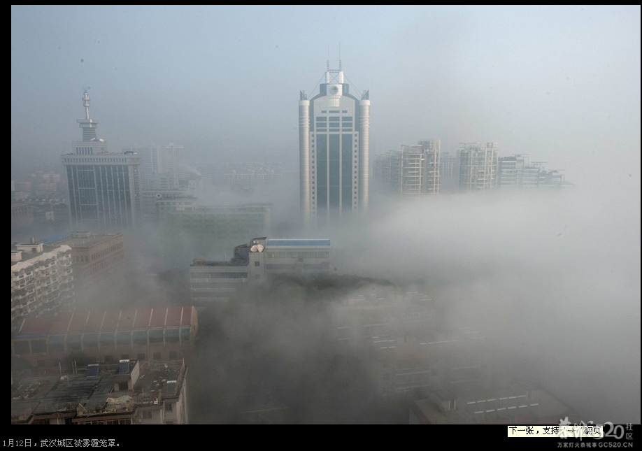 今天上午恭城一遍雾蒙蒙的，能见度大约200米左右。17 / 作者:山野图夫 / 帖子ID:60128