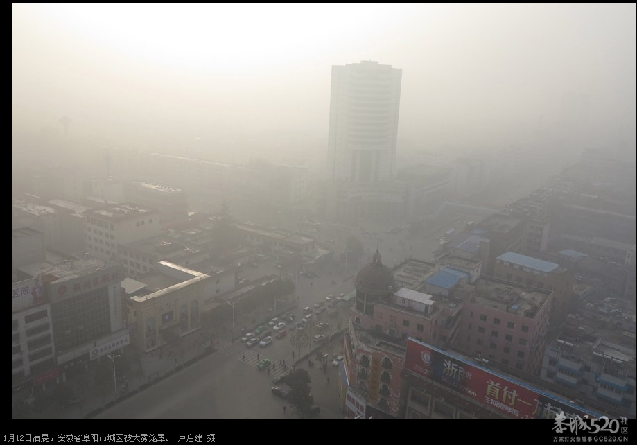 今天上午恭城一遍雾蒙蒙的，能见度大约200米左右。884 / 作者:山野图夫 / 帖子ID:60128