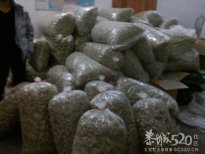 出售  菊花茶681 / 作者:ご俬乆專戀 / 帖子ID:60889