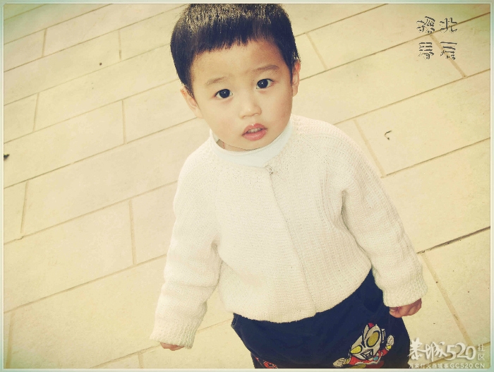 在这里，闻到年味——年货街（更新夜景）684 / 作者:北辰 / 帖子ID:61329