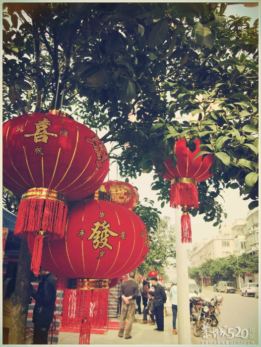 在这里，闻到年味——年货街（更新夜景）788 / 作者:北辰 / 帖子ID:61329