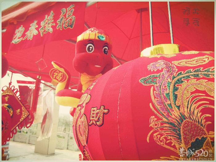 在这里，闻到年味——年货街（更新夜景）384 / 作者:北辰 / 帖子ID:61329