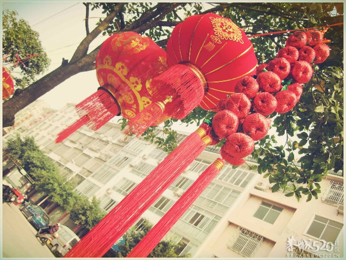 在这里，闻到年味——年货街（更新夜景）320 / 作者:北辰 / 帖子ID:61329