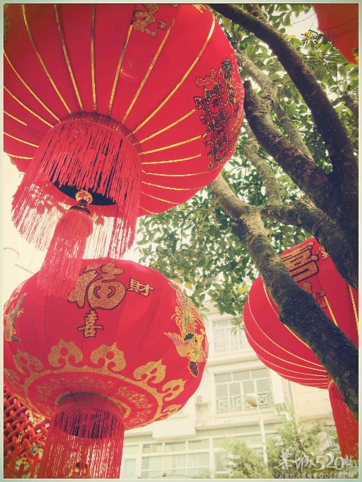 在这里，闻到年味——年货街（更新夜景）900 / 作者:北辰 / 帖子ID:61329