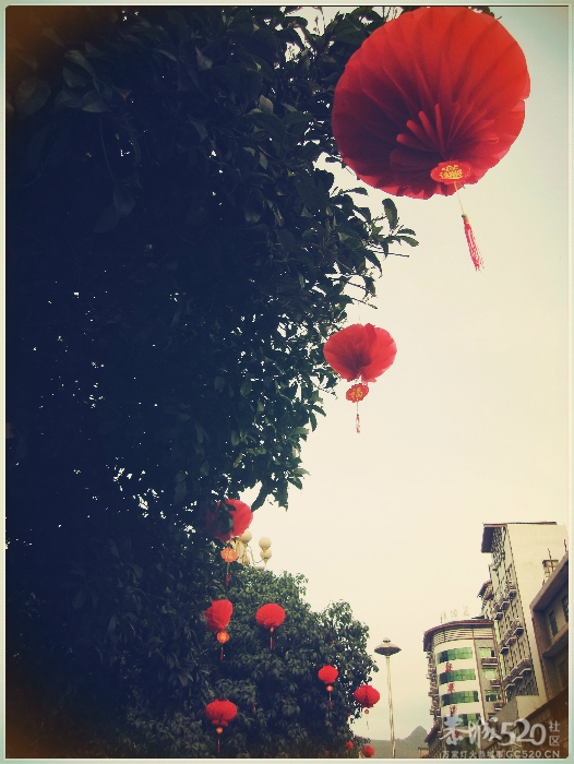 在这里，闻到年味——年货街（更新夜景）821 / 作者:北辰 / 帖子ID:61329