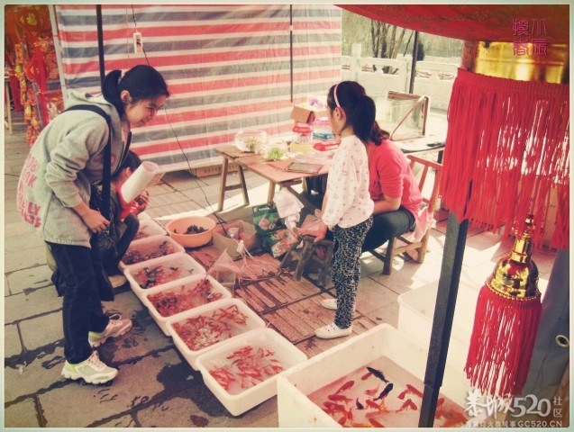 在这里，闻到年味——年货街（更新夜景）413 / 作者:北辰 / 帖子ID:61329