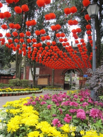 在这里，闻到年味——年货街（更新夜景）84 / 作者:北辰 / 帖子ID:61329