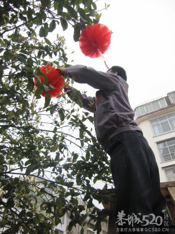 在这里，闻到年味——年货街（更新夜景）72 / 作者:北辰 / 帖子ID:61329